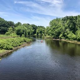 Serene waters